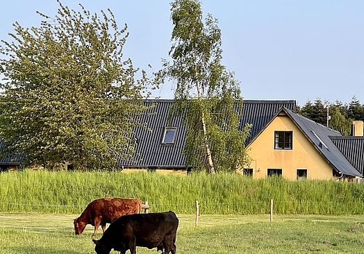 Birkelund Bornholm