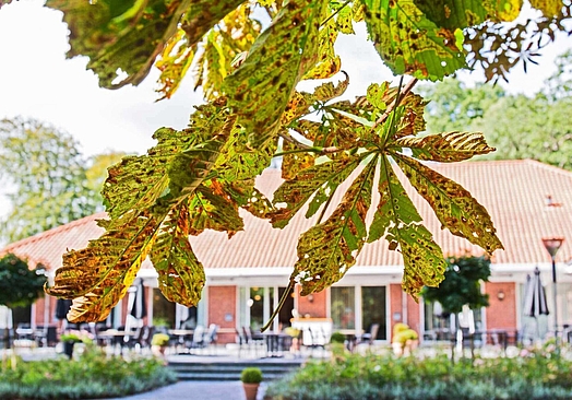 Skovridergaarden Hotel