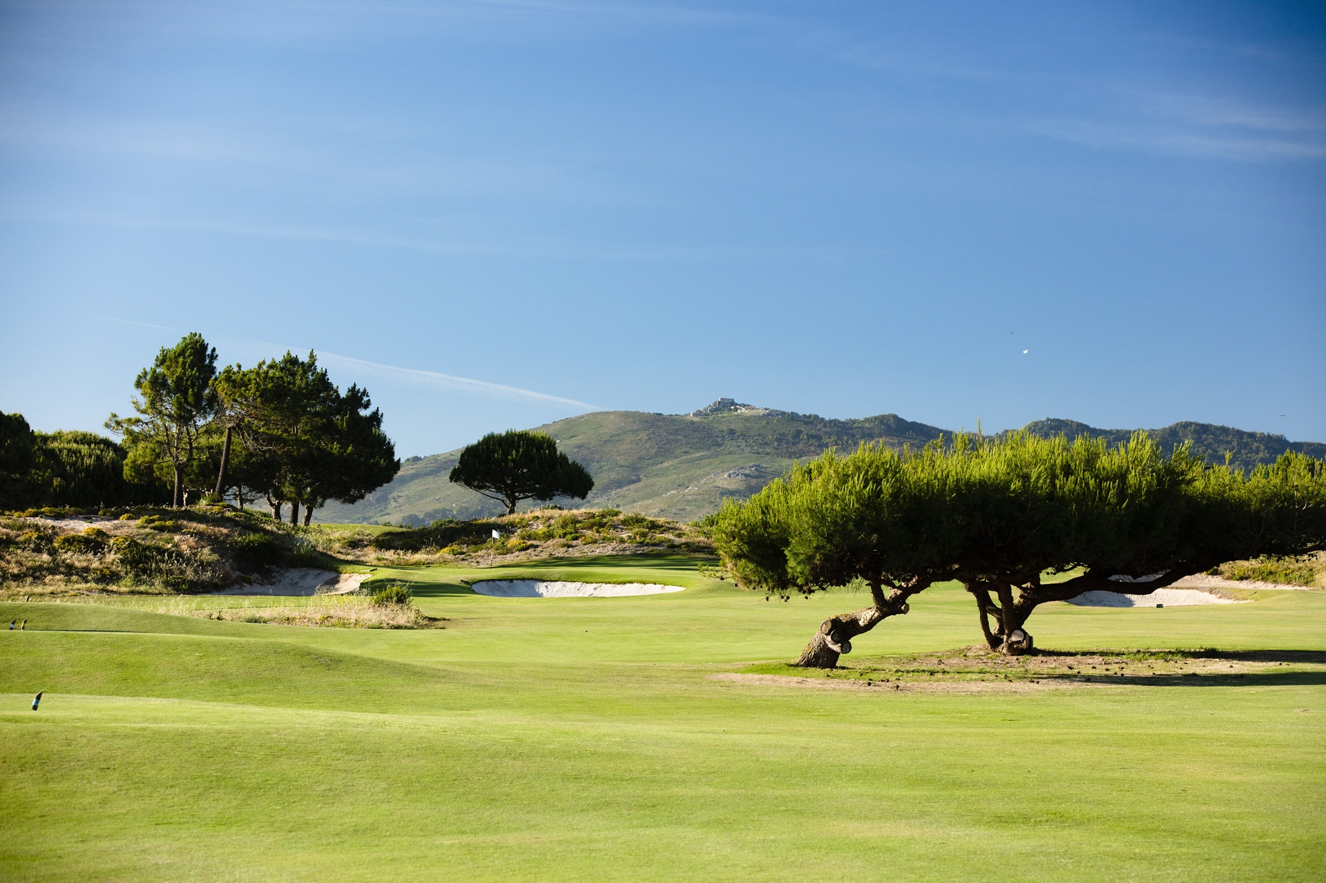 Oitavos Dunes Links Golf