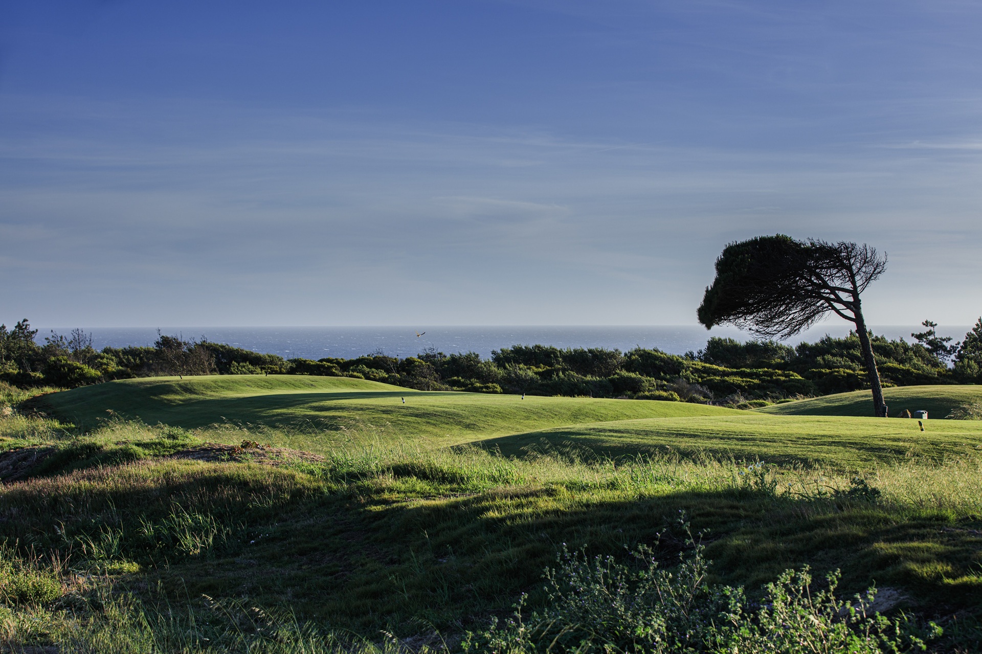 Oitavos Dunes Links Golf