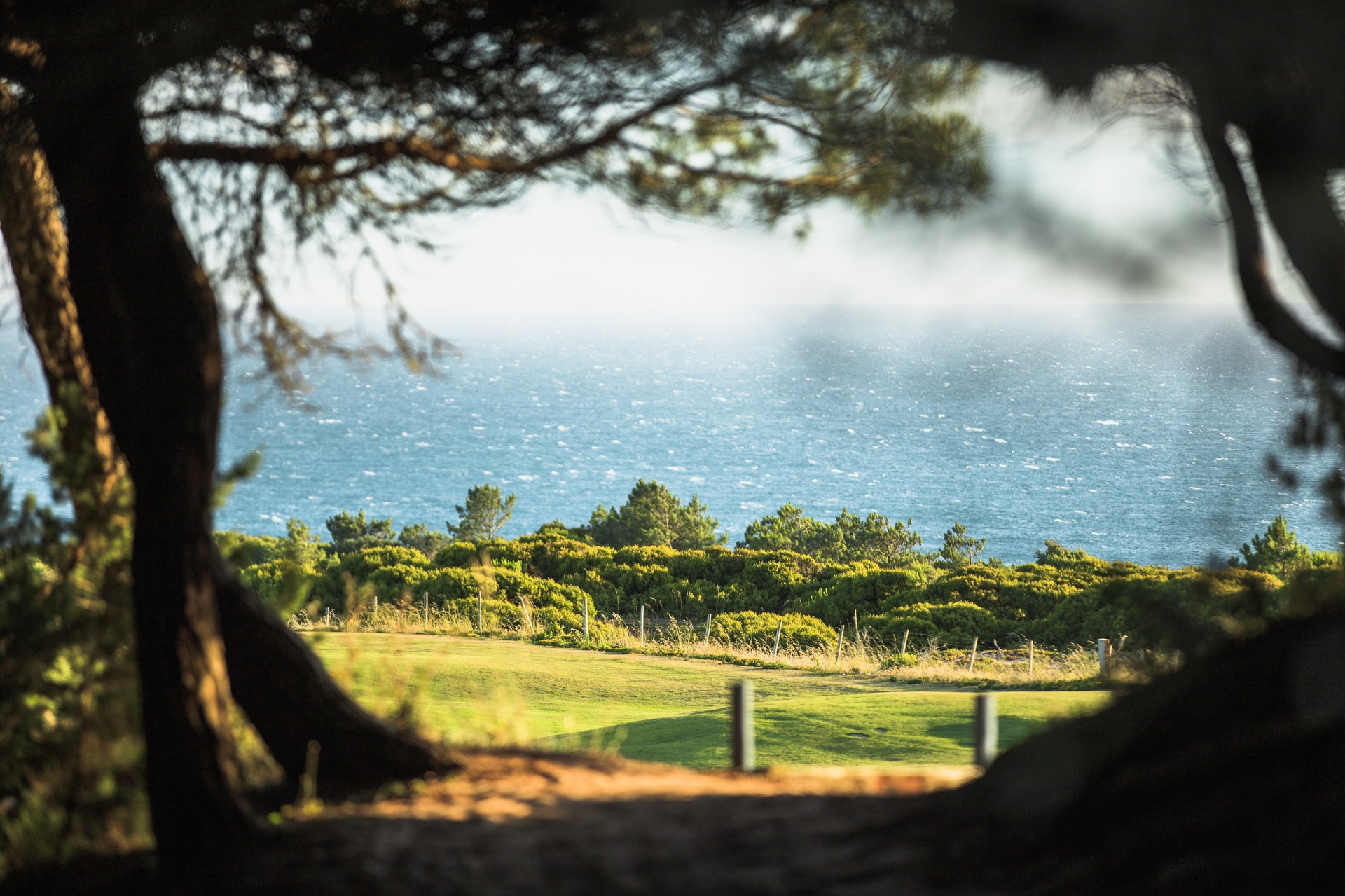 Oitavos Dunes Links Golf