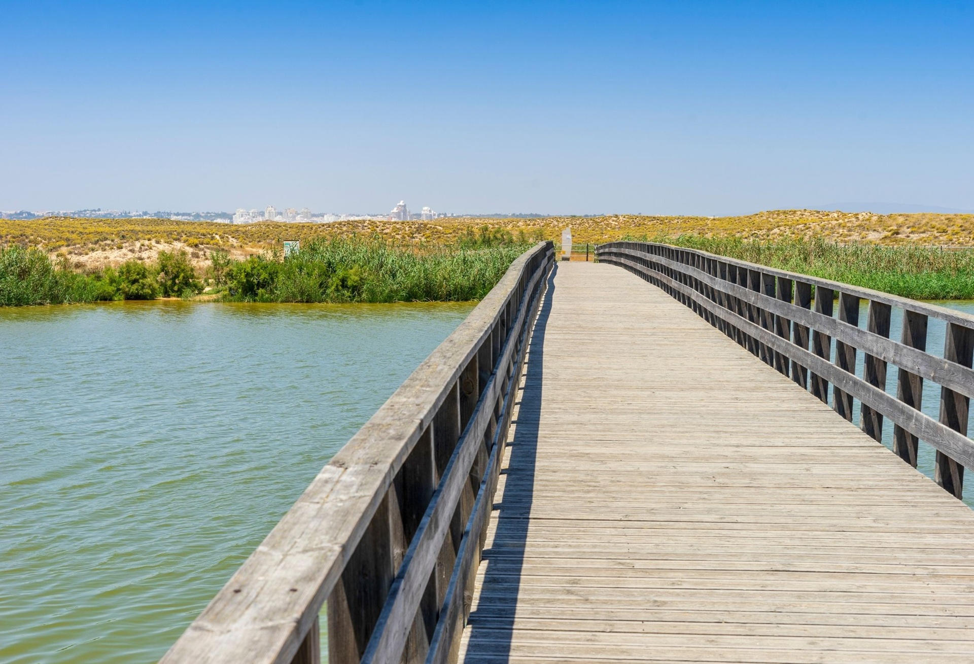 Wine & Books by the Sea